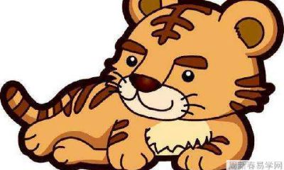 生肖属虎在2022年偏财运好不好 会赚到很多钱吗