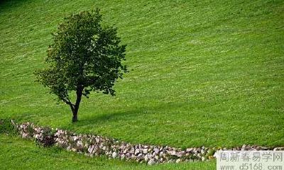 2022年水瓶座4月运势及运程 2022年4月水瓶座运势完整