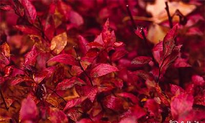 高考有什么风俗讲究 高考完忌讳