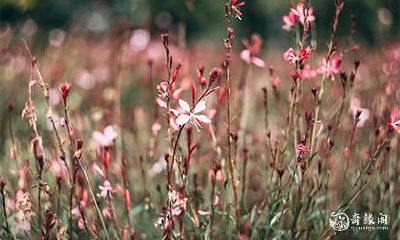 高考学子带什么助运 高考准备什么吉利物品