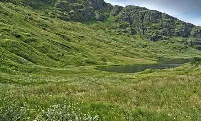 属龙和属马生属虎宝宝好不好 属龙和属马生什么属相孩子好