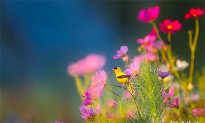 高考为什么不能穿红色 高考穿衣禁忌