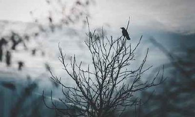 2000年10月出生属龙人几月结婚最好？