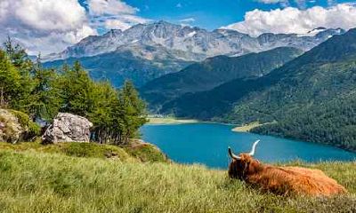 2021属龙结婚怎么样 属龙人2021年最好结婚吉日