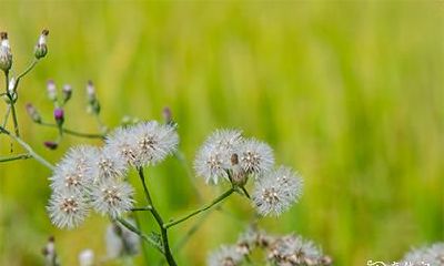 高考为孩子烧香拜哪个神 孩子高考去哪里上香
