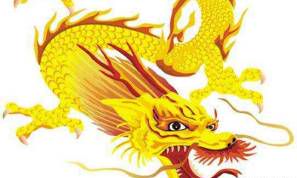 1988两个属龙人结婚怎么样 起合适吗