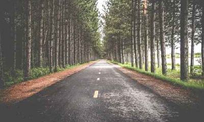 属龙的财运在哪个方向最好