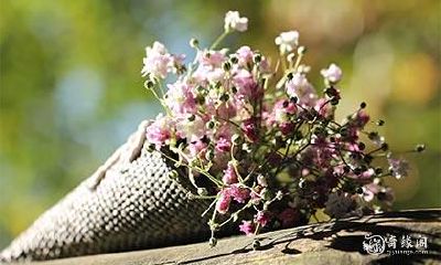 高考生房间放什么好 高考生风水摆件