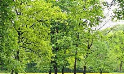 属龙男人2022年1月财运预测分析如何？