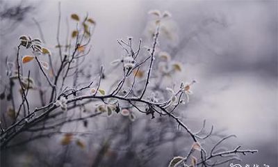 高考让孩子吃粽子 高考期间饮食