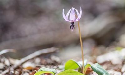 高考求佛像什么时间最好 高考许愿拜什么佛最好