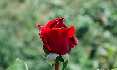 高考前怎么祈福最灵 去寺庙的忌讳