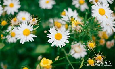 高考前一天很倒霉寓意着什么 考试前一晚的禁忌