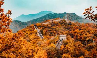 属龙和属虎婚姻配对如何 婚配好不好