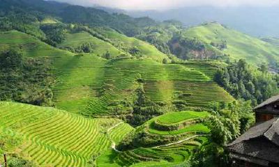 2000年11月属龙人婚姻好不好