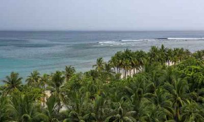 属龙和属兔的合财吗 属龙和属兔可以在一起吗