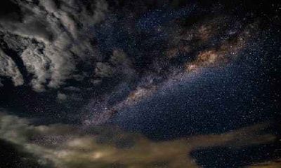 2个属龙的人结婚好不好 婚姻能否幸福