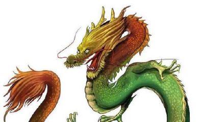 属龙人适合在2023年生兔宝宝吗