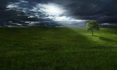 生肖属龙和生肖属牛配对