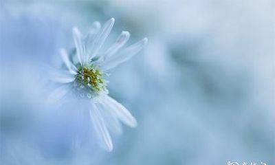 高考前拜什么神 高考拜佛有什么讲究吗