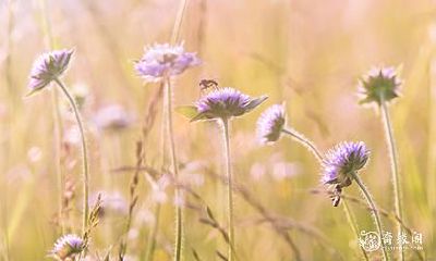 高考祈福点几支香 高考祈福最灵验的寺庙