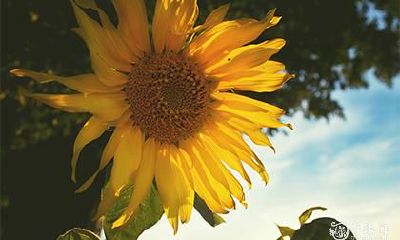 高考能佩戴吊坠吗 佩戴什么饰品提升考运