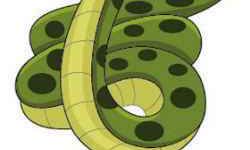 属蛇男生喜欢一个人的表现