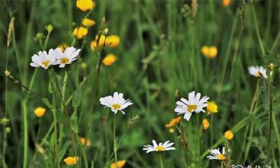 高考可以烧香吗 考前注意事项