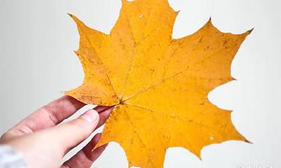 高考可以戴玉石项链吗 高考严禁携带哪些东西