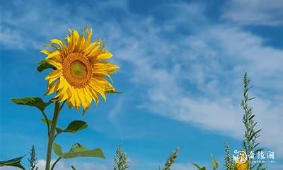 高考考试开运方法考试前一晚 考前开运小秘诀