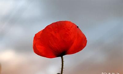 高考考生可以穿红色衣服吗 高考考生穿衣讲究