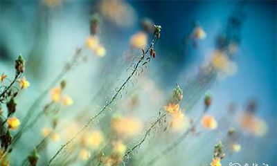 高考考出好成绩风水秘诀 提升考试运气的方法