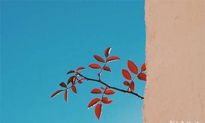 高考家长穿的衣服有0可以穿吗 高考父母第二天穿什么衣服吉利