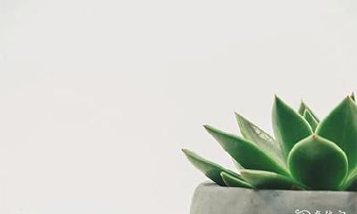 高考还用烧香吗 高考前多久去拜佛比较好