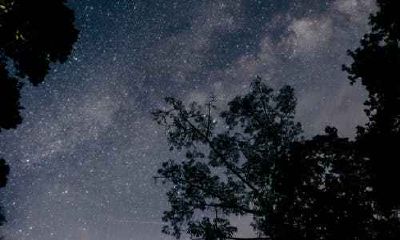 属龙的人有什么性格优点 怎样和属龙的人相处