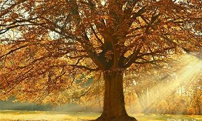 高考第一天姐姐穿什么颜色的衣服 高考注意事项