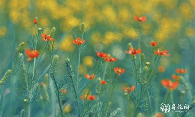 高考第二天家长穿什么颜色的衣服 考试开运小秘诀