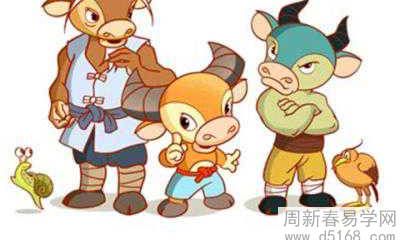 1988年属龙人2022年的桃花运多不多