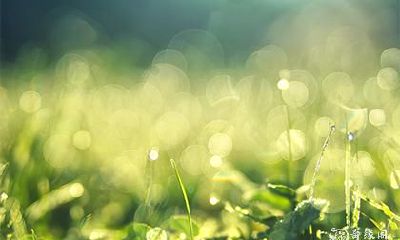 高考当天有什么风水禁忌 考试的风水讲究