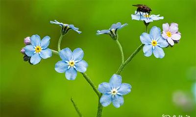 高考当天应该穿什么颜色的衣服 穿衣增加考运