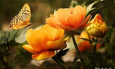 高考当天上香 孩子高考去寺庙怎样祈福