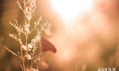 高考当天能上香祈福吗 高考祈福可以同时去两个庙吗