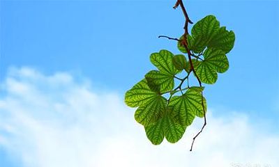 高考当天不得不信的风水秘诀 定高考房的讲究