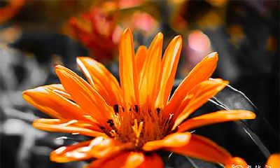 高考穿紫色和黑色衣服好吗 有什么寓意吗