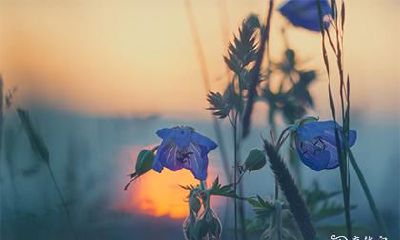 高考穿衣服颜色讲究家长 高考穿衣注意事项