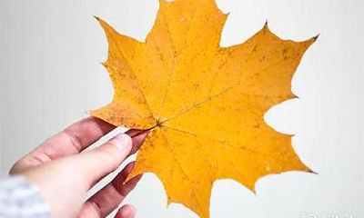 高考穿什么寓意不好 高考穿什么颜色最吉利