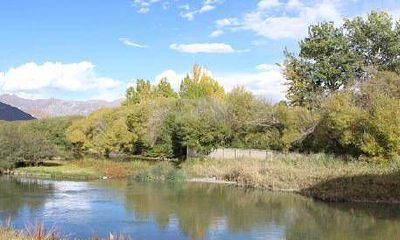 属龙人2022年7月工作事业运势及运程怎么样