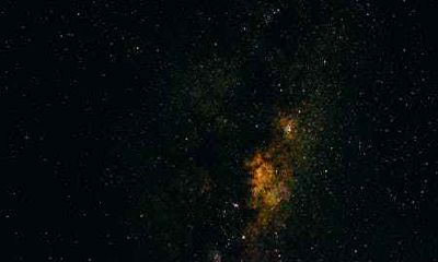 属龙子时出生的人命运怎么样