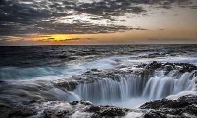 属龙女最吸引什么生肖男，鼠、鸡、猪男