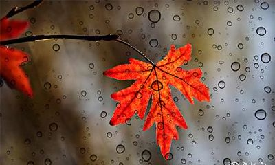 儿子高考妈妈穿衣讲究 高考生穿衣服的注意事项